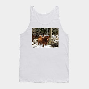 Scottish Highland Cattle Calf 1960 Tank Top